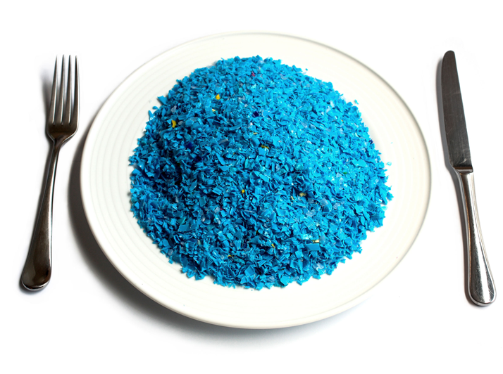 eat microplastics (Tree)